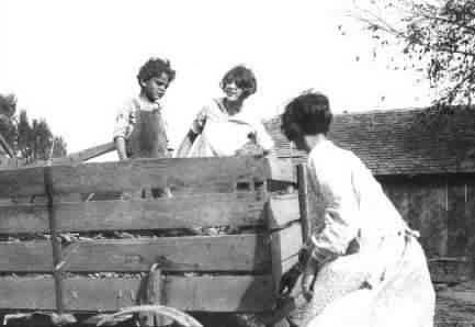 Fun on a wagon